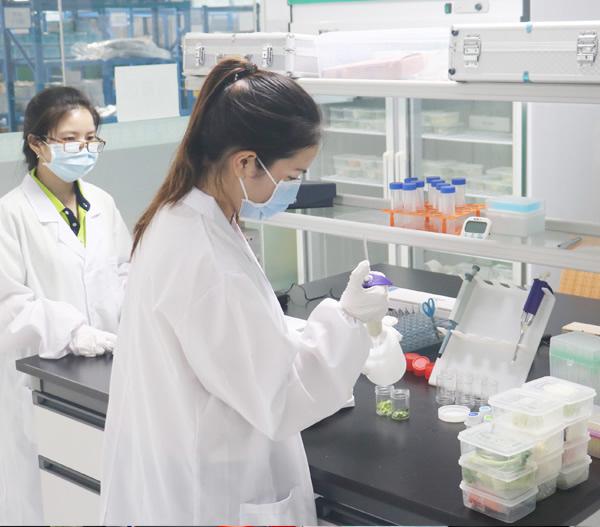 食品安全檢測(cè)03