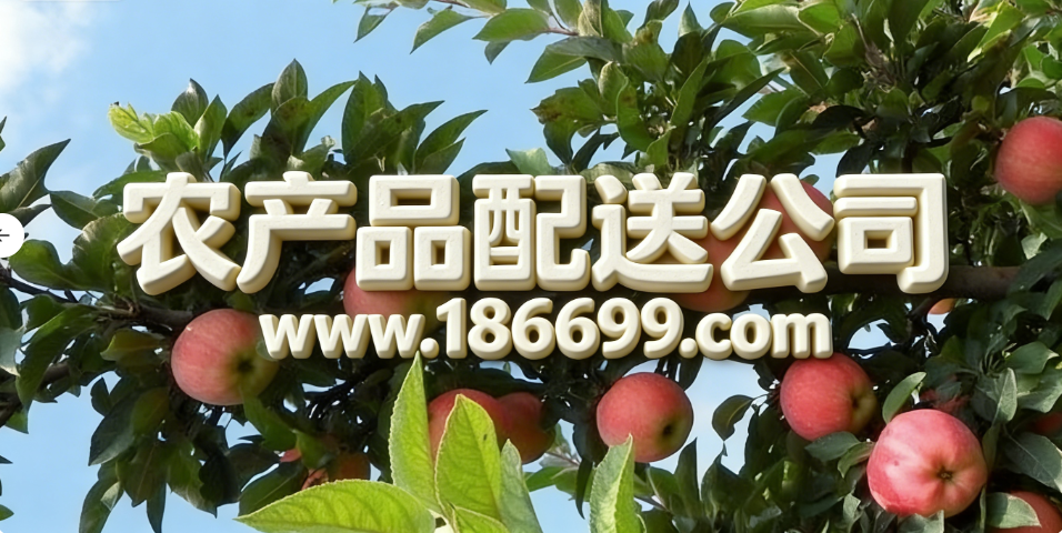 全球蘋果種植面積和產(chǎn)量最多的國家是哪里？