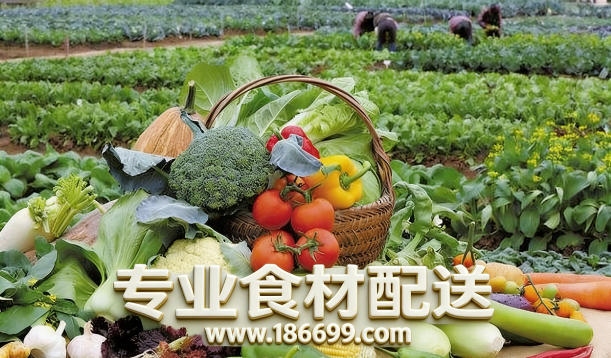 惠州食材供應(yīng)鏈為您普及：冬季夏季的蔬菜營(yíng)養(yǎng)有什么差別？
