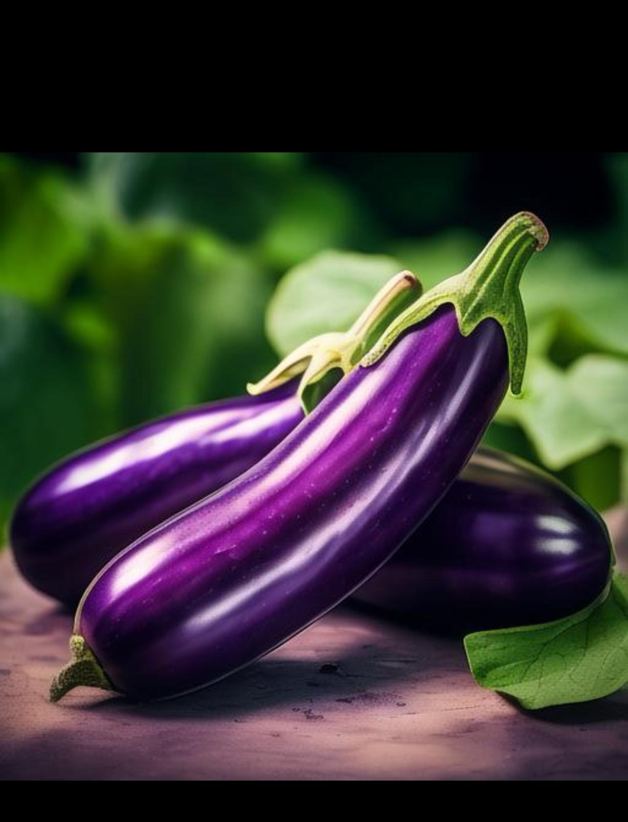 惠州食材配送中心談一談：茄子有哪些營養(yǎng)價(jià)值