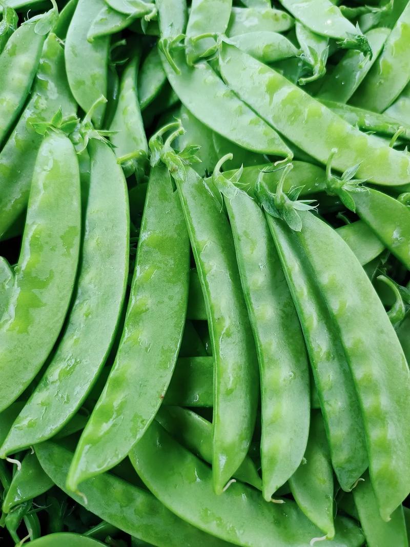 1771421725743095.jpg 荷蘭豆.jpg